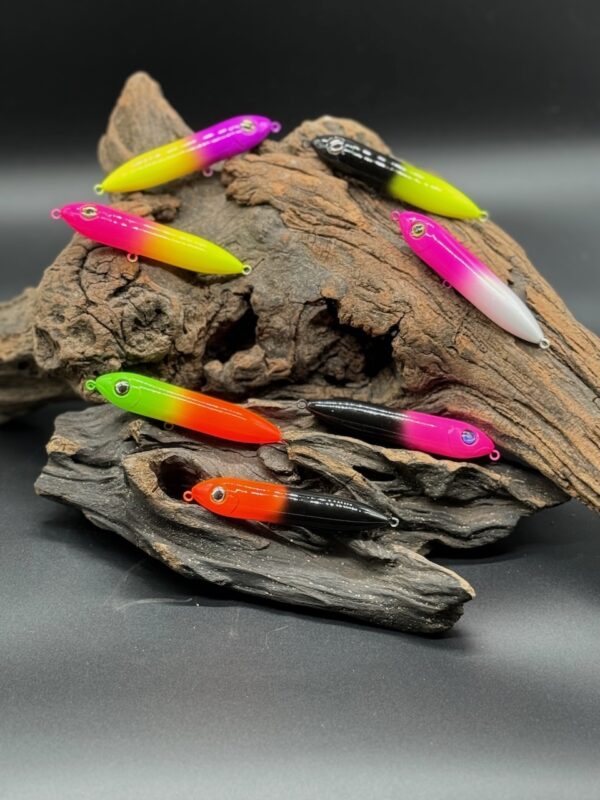 A variety of two-toned sit or drift sticks atop a piece of driftwood.