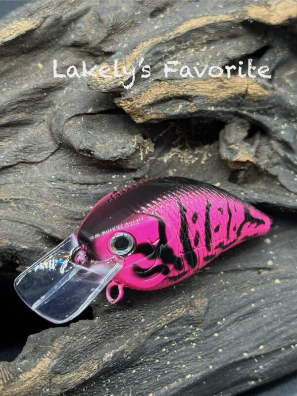 A hot pink and black squarebill lure under the title "Lakely's Favorite".