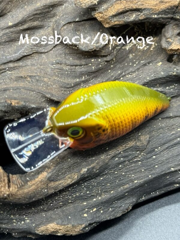 View of the green and yellow top of a squarebilll lure under the title "Mossback/Orange".