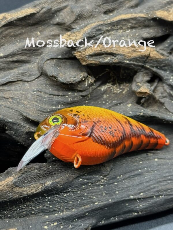 A yellow and orange squarebill lure on it's side under the title "Mossback/Orange".