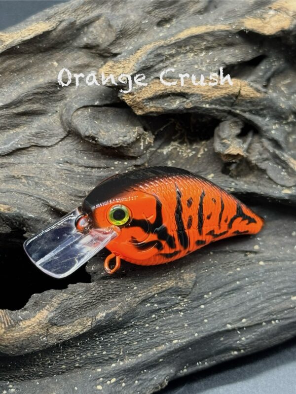 An orange and black squarebill lure under the title "Orange Crush".