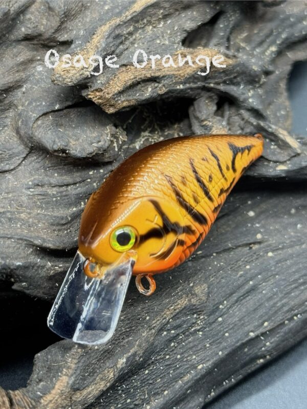 A squarebill lure with a gold to yellow to orange gradient with black striping under the title "Osage Orange".